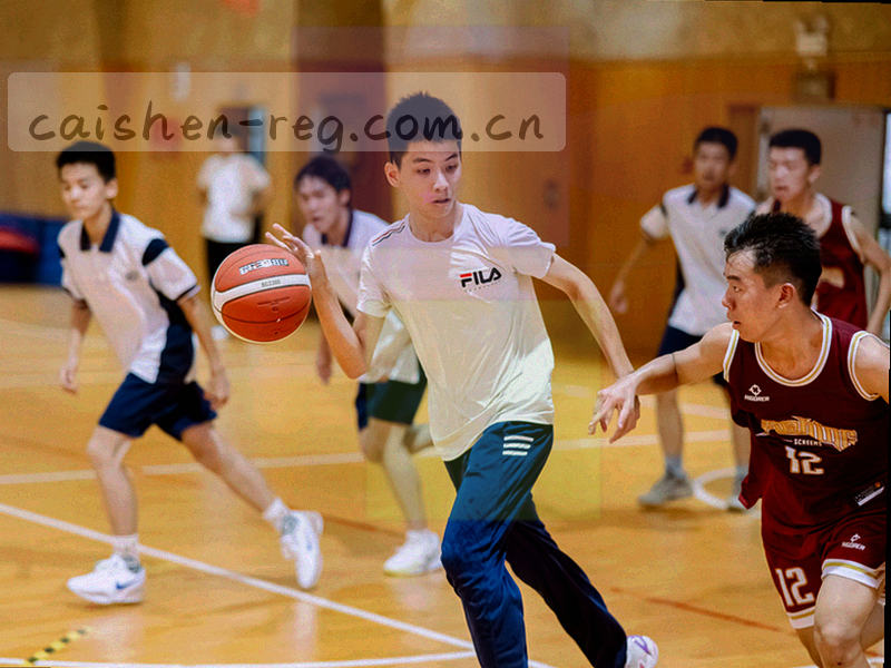 上升的折线图与藏式纹样结合，象征成长